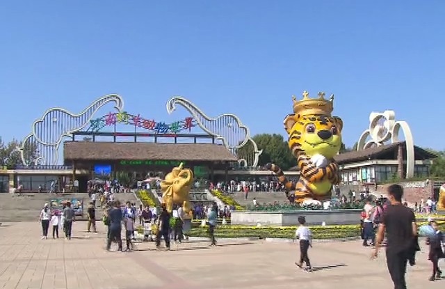 黃金周第四天泉城旅游玩不夠