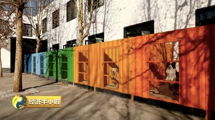 為寵物開酒店電影院美容院……一個超1700億元的大市場爆發！