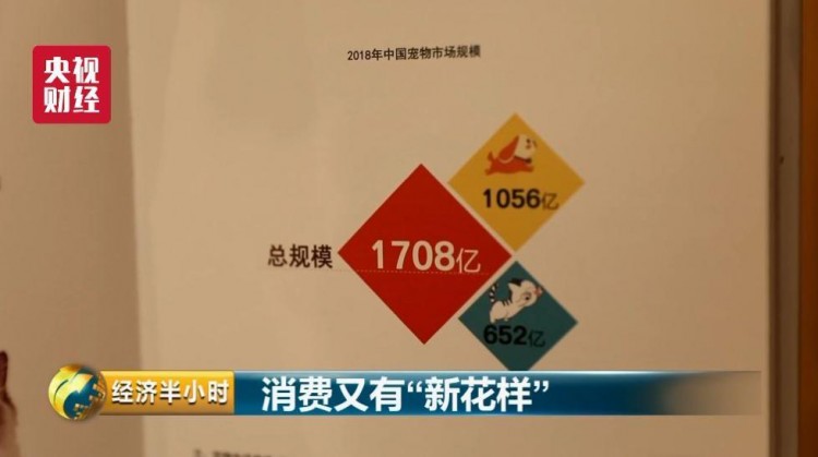 為寵物開酒店電影院美容院……一個超1700億元的大市場爆發！