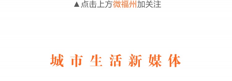 福州最全擼貓攻略一次性安利10家店讓你擼到爽!