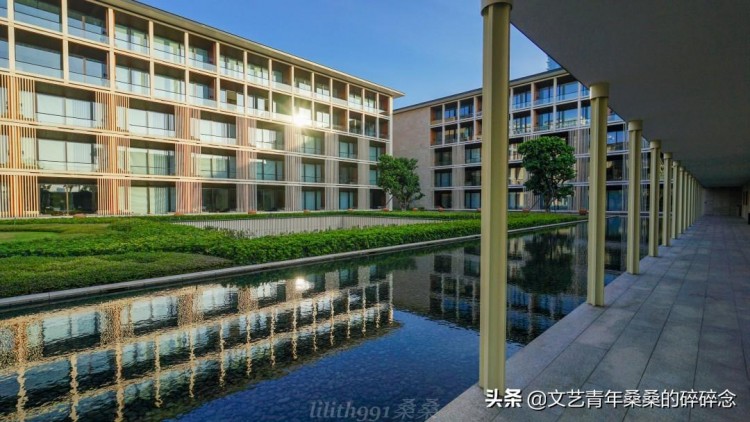 賞絕美日落與廈門七尚來個親密接觸