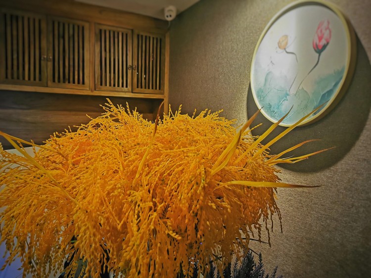 青島探店丨讓身心靈回歸生命本源