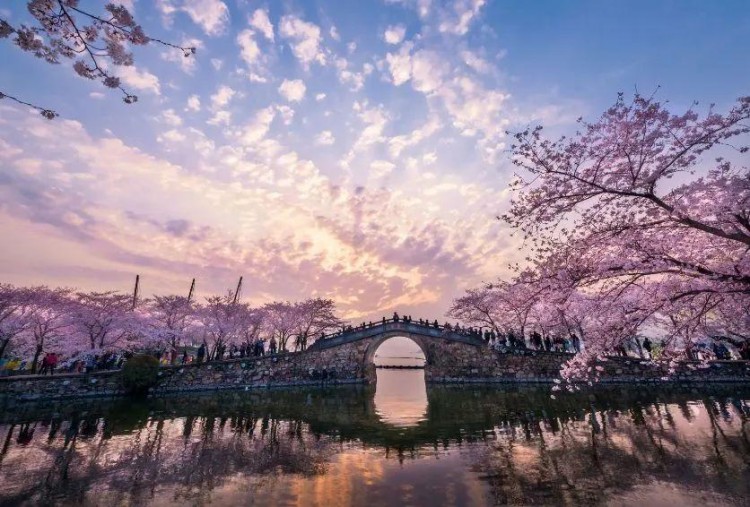 一房一院一私湯！無錫陽山花間堂桃花島?私享溫泉湯池！
