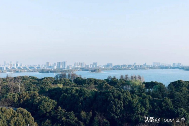 頤尊TOUCH|無錫魯能萬豪店·自由自在的綠洲中找尋自我