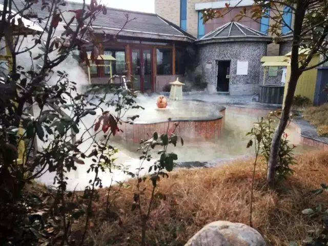 愛在煙臺|滑雪泡湯跟冬天才更配喲~今天約你去泡湯!
