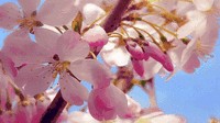 地表以下2009米深處的常州美膚水你嘗試過嗎