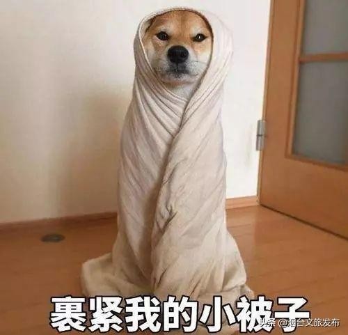 舒適！秋天越來越濃，養生季節就來“泡湯”吧~