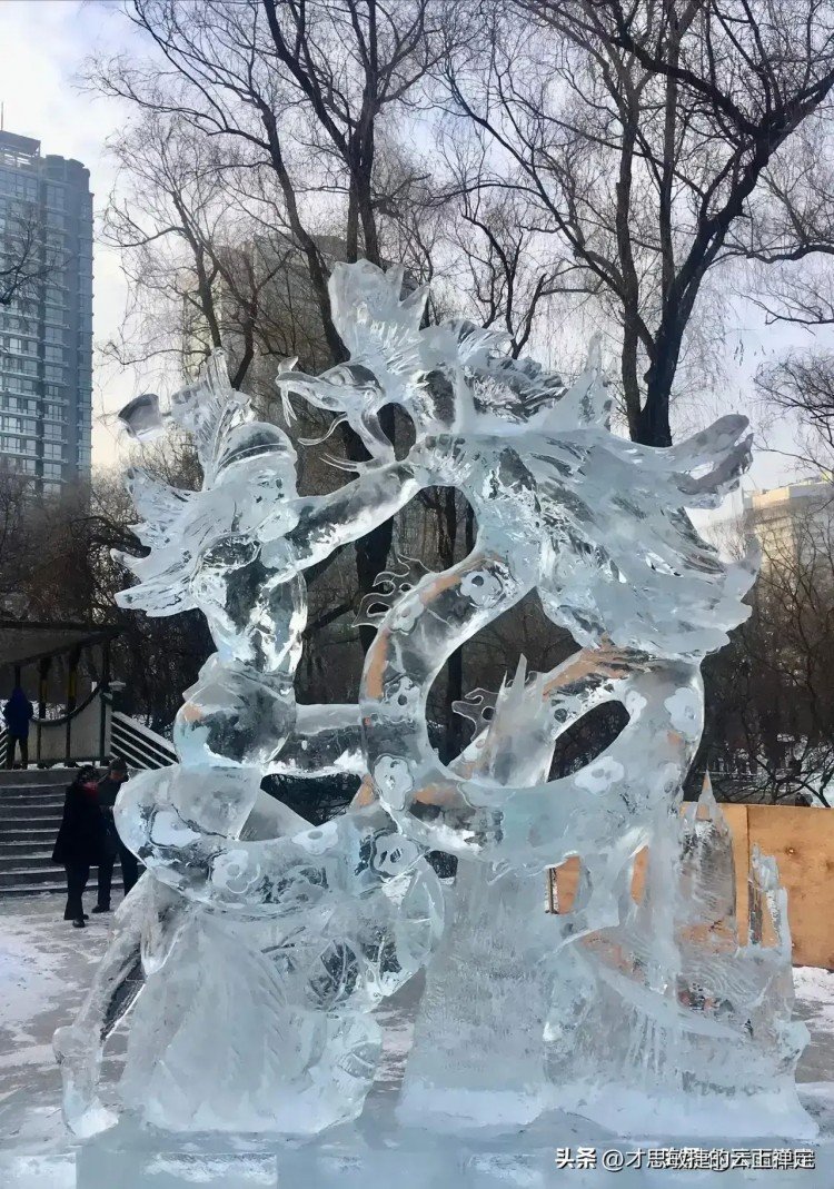 哈爾濱旅游殺瘋了各種奇妙的體驗讓游客們流連忘返...