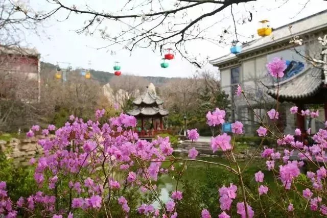 三八節在威海帶著你的女神享女神優惠