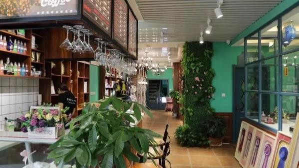 圍觀丨開派對做SPA還有總統套房來看看太原的寵物酒店長啥樣