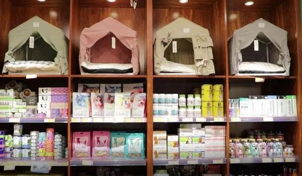圍觀丨開派對做SPA還有總統套房來看看太原的寵物酒店長啥樣