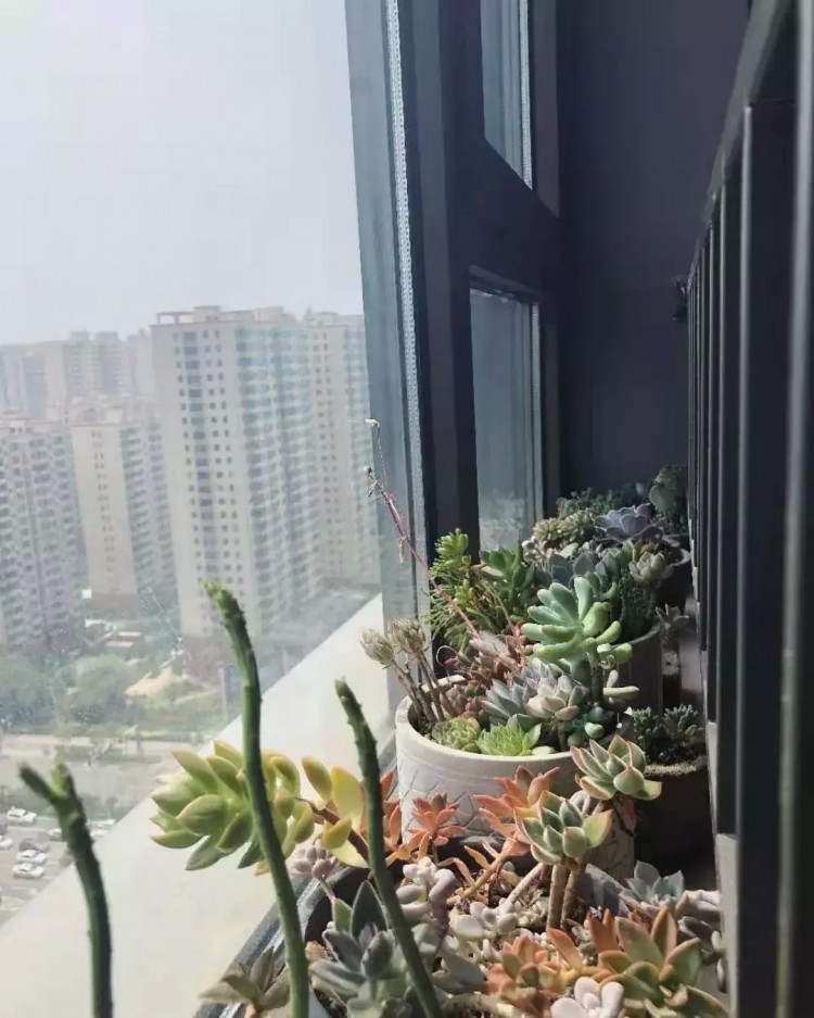 5折！太原妹子注意啦！變身女神的秘密！都在這......