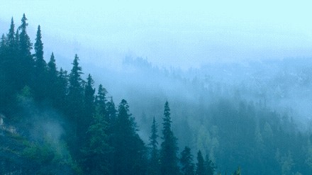 呼朋引伴來貴陽這約泡春秋換季泡湯最巴適享受難得的山野愜意
