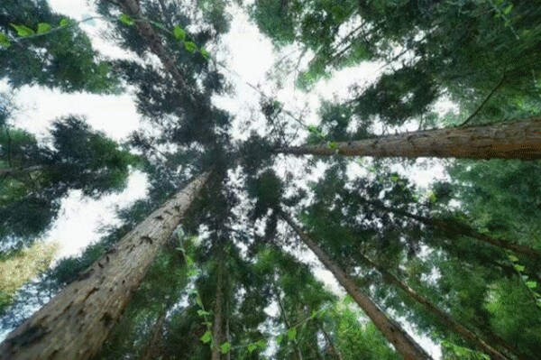 呼朋引伴來貴陽這約泡春秋換季泡湯最巴適享受難得的山野愜意