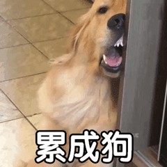 免費(fèi)按摩！御指堂開(kāi)業(yè)放大招！快給身體放個(gè)假