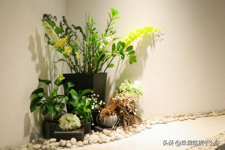 超星級的護膚體驗！珠海這家美容生活館比男票更懂你