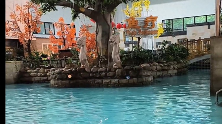 感受冬日的舒適，去一次有溫度的旅行