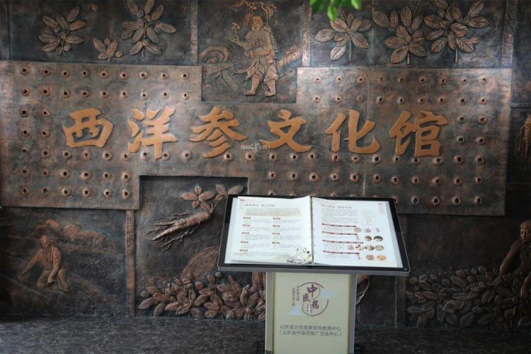 冬游威海丨新春養(yǎng)生季泉心泉意溫暖你