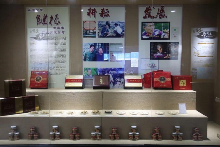 冬游威海丨新春養(yǎng)生季泉心泉意溫暖你