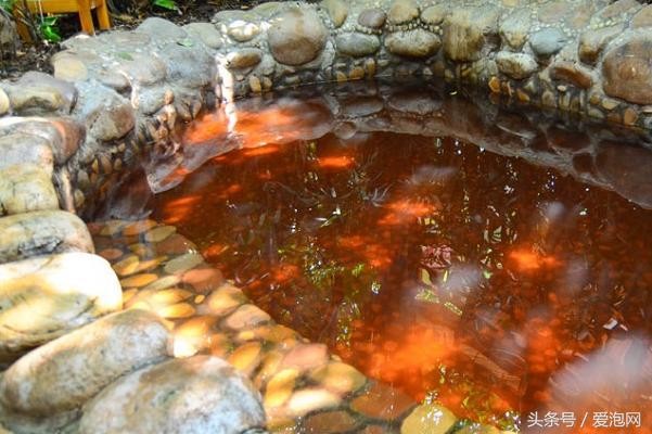 嶺南名湯——廣東中山泉眼溫泉度假村一日游