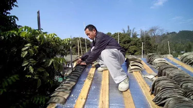 惠州這家民宿老板居然提供特殊服務！