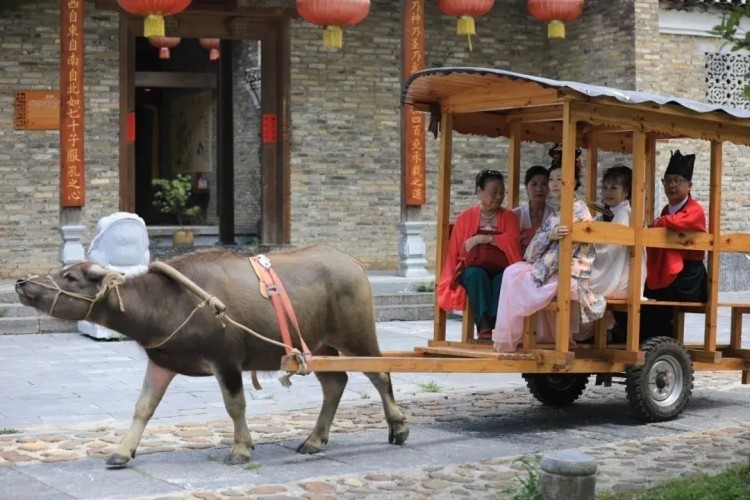 聚焦|桂林市象鼻山景區全面免費開放！過年去哪兒玩還有更多優惠信息→