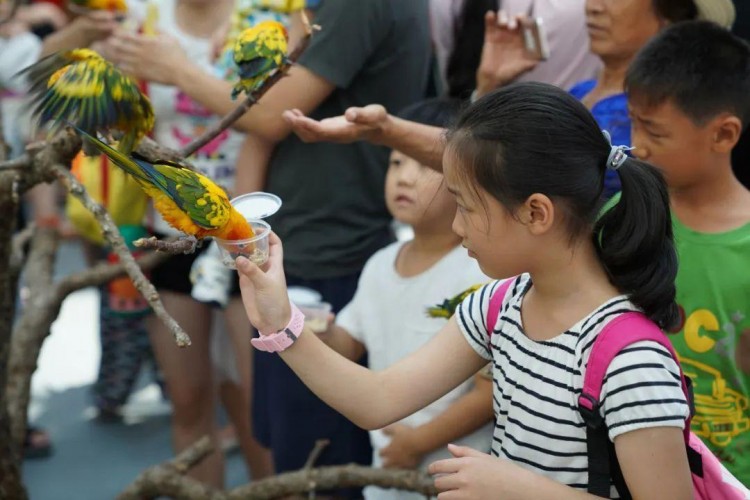 @濰坊人去日照旅游必收藏！深度解鎖網紅海洋公園N種互動玩法！