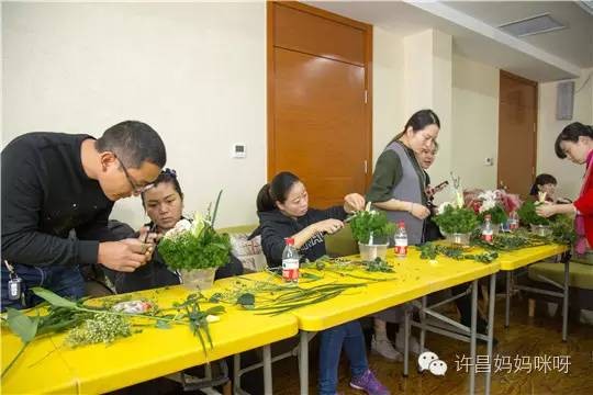 課程直播孕期精神spa靜等最美綻放