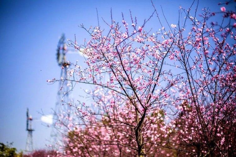 一年美出12種味道這就是我大金華！今年的旅行計劃小布都給你列好了