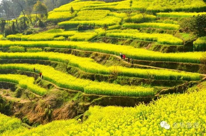一年美出12種味道這就是我大金華！今年的旅行計劃小布都給你列好了
