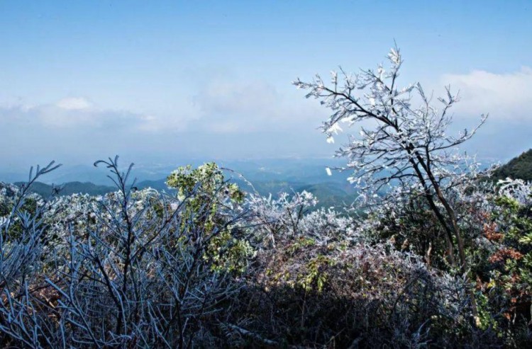 贛州旅游年卡元旦與你同行免門票暢游贛南~