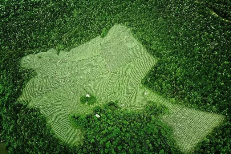 建德再成省級示范！這里有免費的氧氣SPA管夠！
