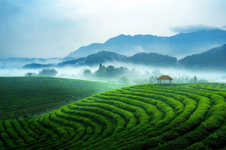 建德再成省級示范！這里有免費的氧氣SPA管夠！