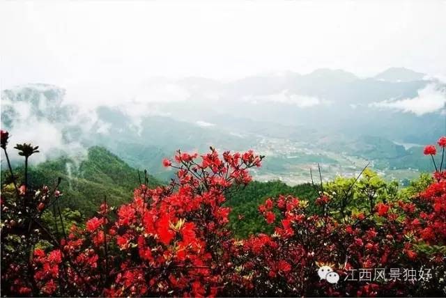 2020年百家江西康養旅游打卡地之贛州篇