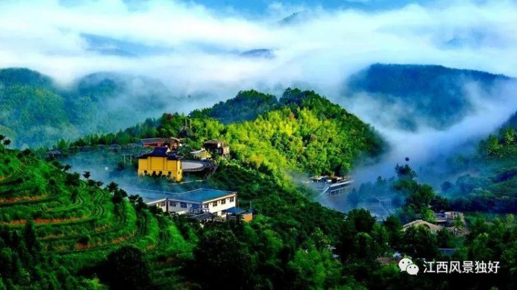 2020年百家江西康養旅游打卡地之贛州篇