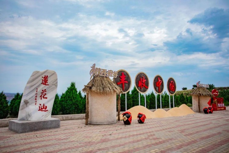 與黃河同行探尋榆林沿黃秘境閱盡萬千山河故事！