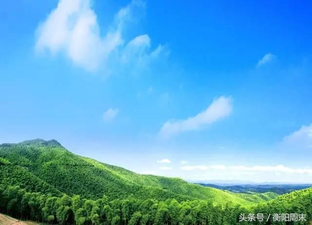 深呼吸！去九峰山湘南大竹海做個肺部SPA！