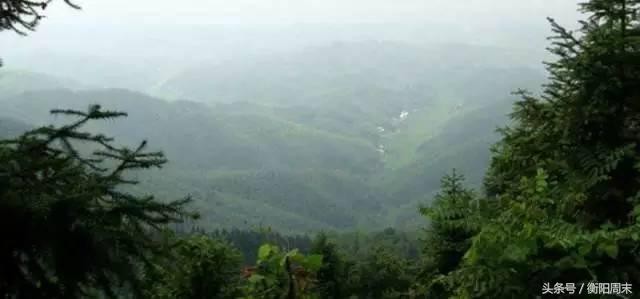 深呼吸！去九峰山湘南大竹海做個肺部SPA！