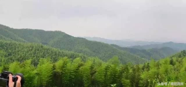 深呼吸！去九峰山湘南大竹海做個肺部SPA！