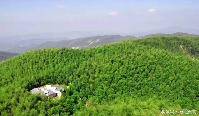 深呼吸！去九峰山湘南大竹海做個肺部SPA！
