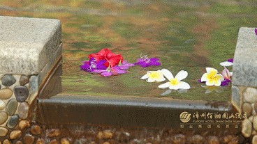 霜降御寒保暖宜泡湯這個超大的溫泉公園就在漳州市區！