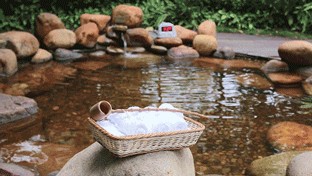 霜降御寒保暖宜泡湯這個超大的溫泉公園就在漳州市區！