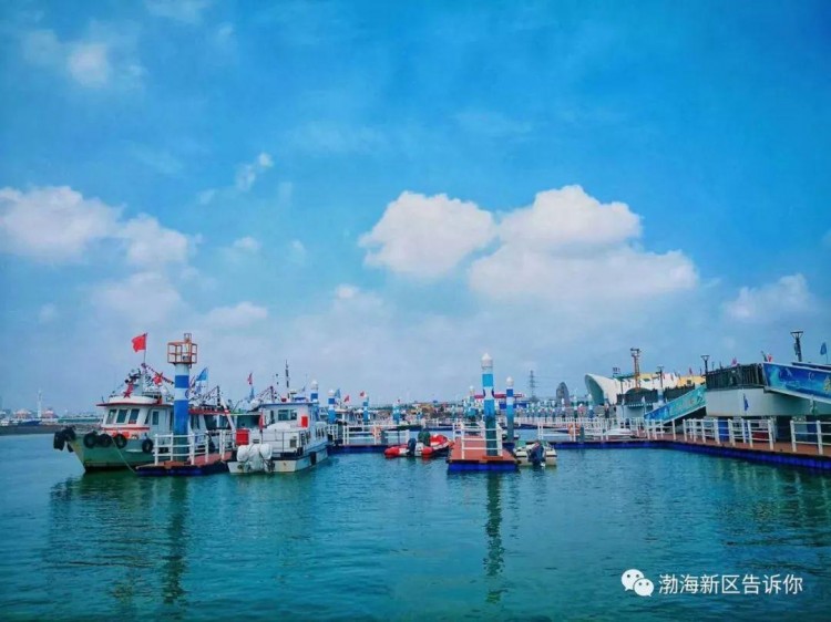 五一去哪里滄州這些網紅之地等你來打卡