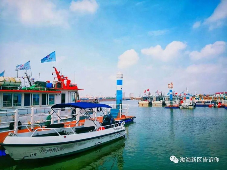 五一去哪里滄州這些網紅之地等你來打卡