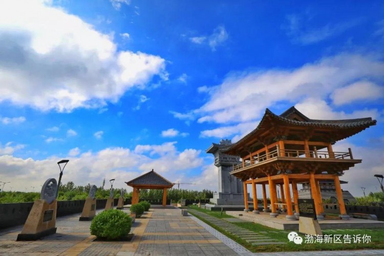 五一去哪里滄州這些網紅之地等你來打卡
