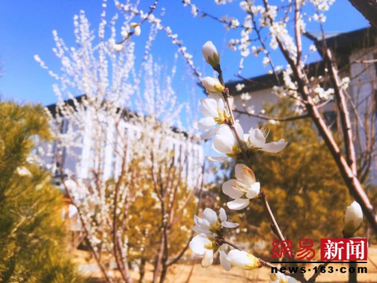 五一打卡圣地！保定淶源華中溫泉康養小鎮等你一起嗨翻天