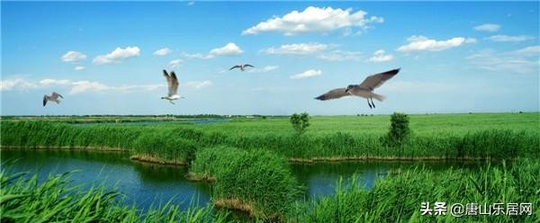 重磅！唐山恒大養生谷7月18日展廳盛大開放引爆全城