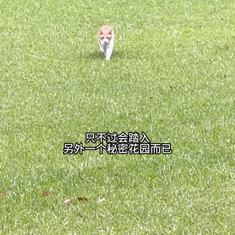 替大家試過了做spa真的會上癮！！