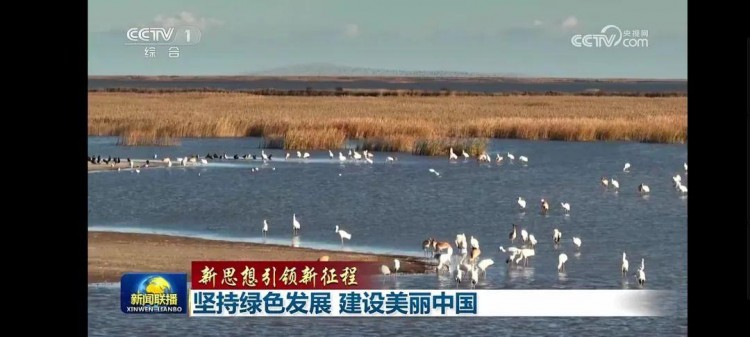東營冬季網(wǎng)紅打卡地已出爐快來打卡吧→