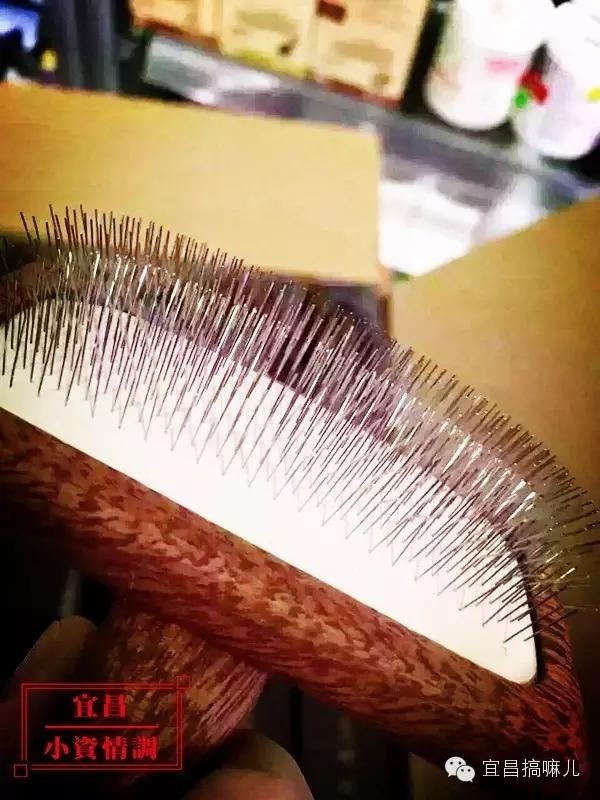 宜昌小資情調(diào)第七季：需要帶著寵物一起去的琥珀川寵咖